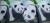 Pandás ágyneműhuzat | Panda ágynemű szett | Panda ágyneműhuzat garnitúra